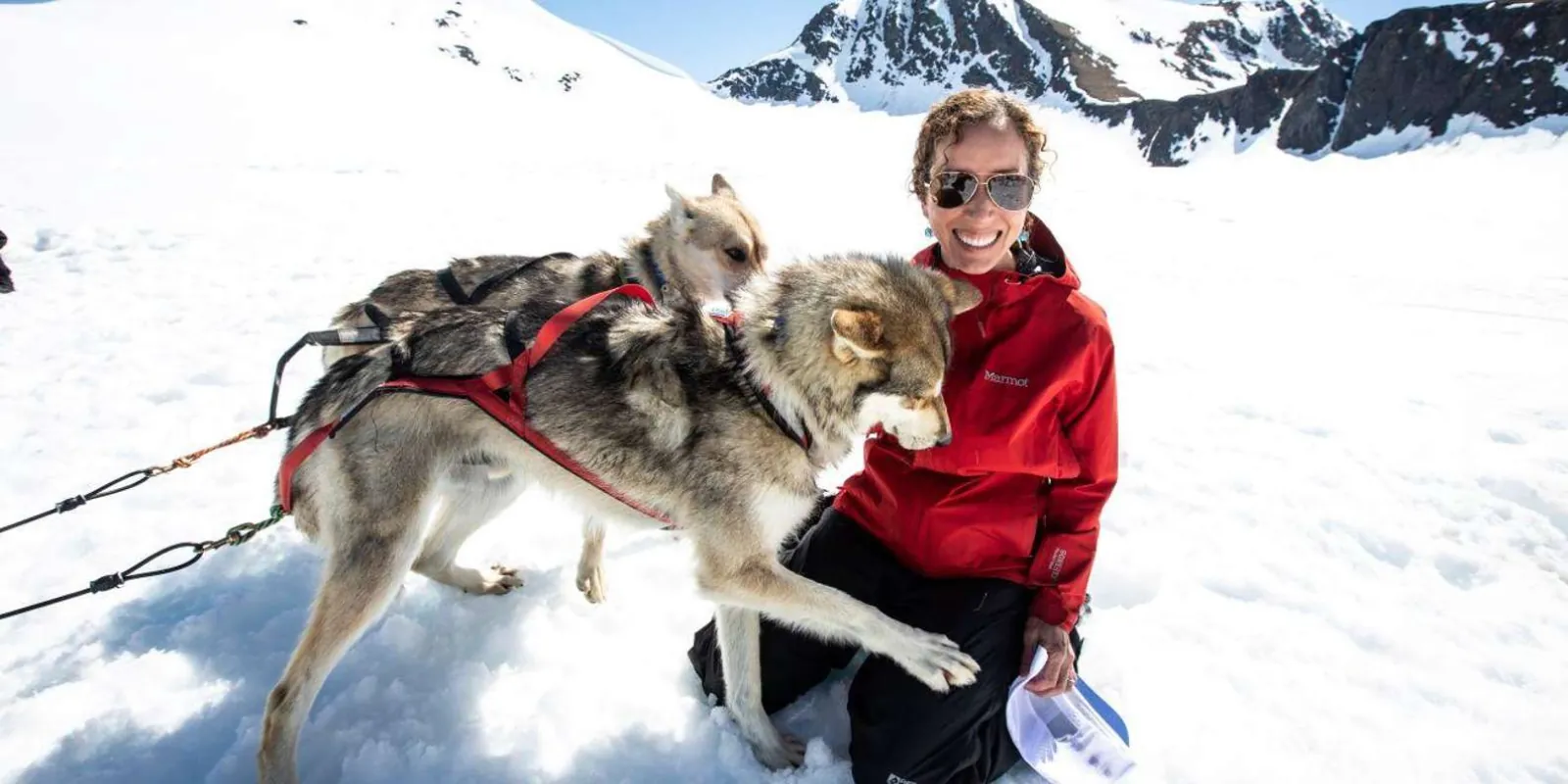 A guest in a red jacket kneeling in the snow to greet two harnessed sled dogs