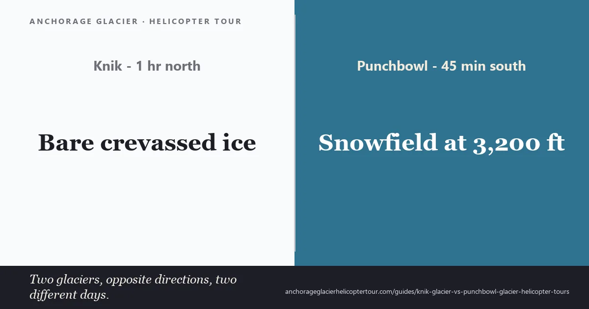 Knik Glacier bare blue ice compared with the Punchbowl Glacier snowfield above Girdwood